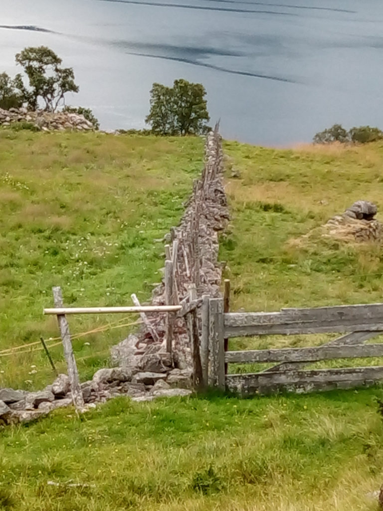 Cultural landscape along the path from Skallan to Rå in Kvæfjord. Don't forget to close the gate © Ellen Eliseussen / Kvæfjord kommune