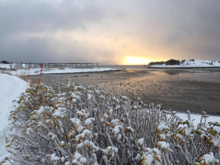 Winter Light at Bolga Island © Jeff McLean
