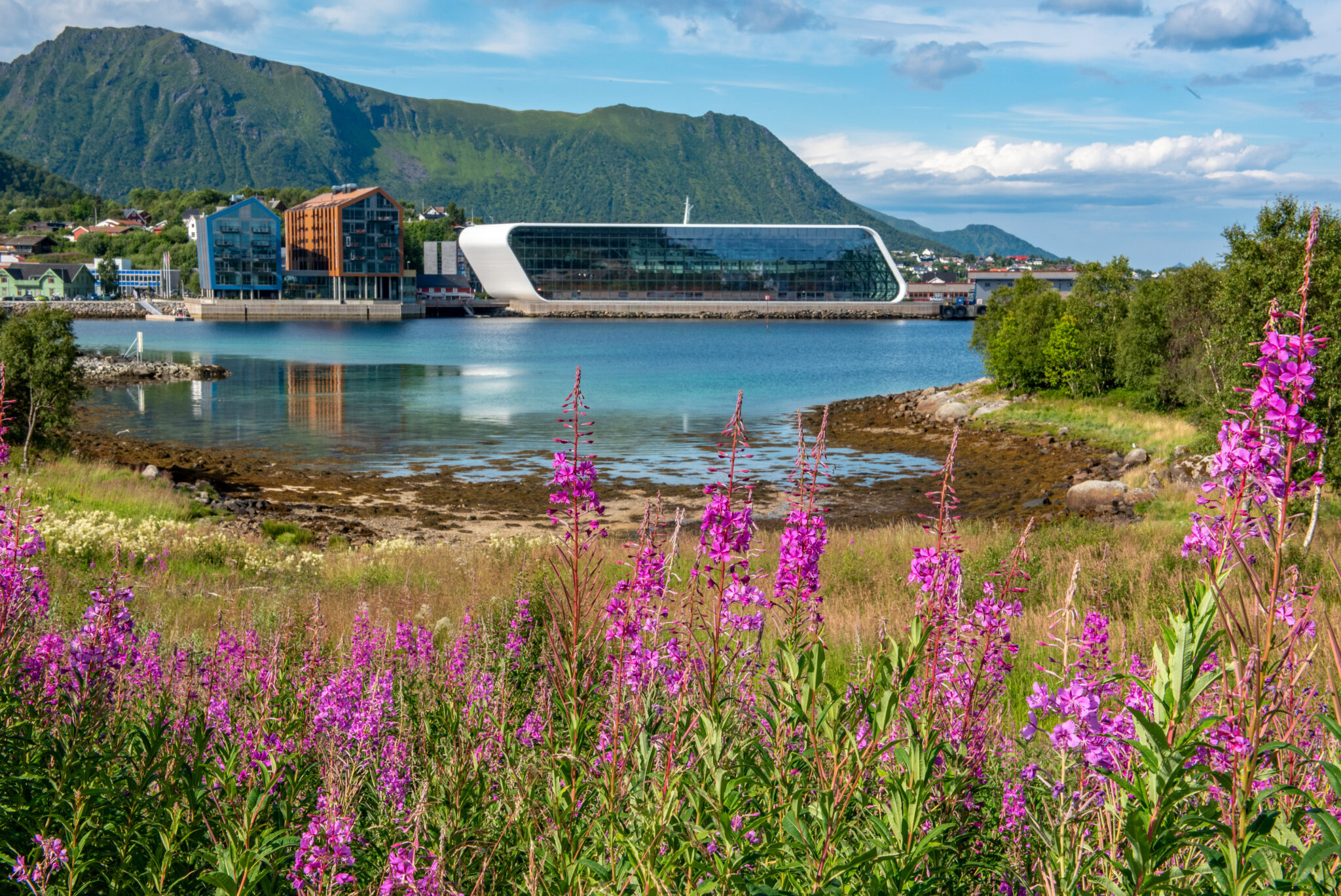 Stokmarknes. Photo: Bjørn Eide