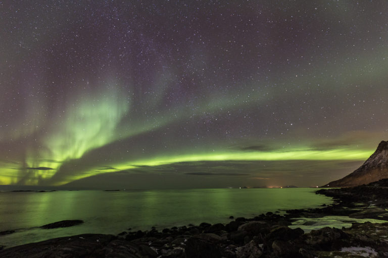 It often starts with two stripes © Lofoten Aktiv