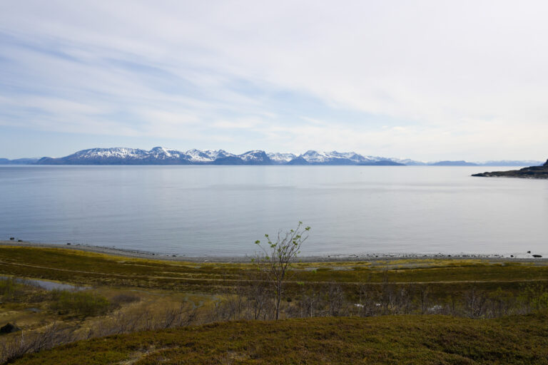View across the fjord of Kvænangen, with the northern tip of Laukøya island to the right © Knut Hansvold