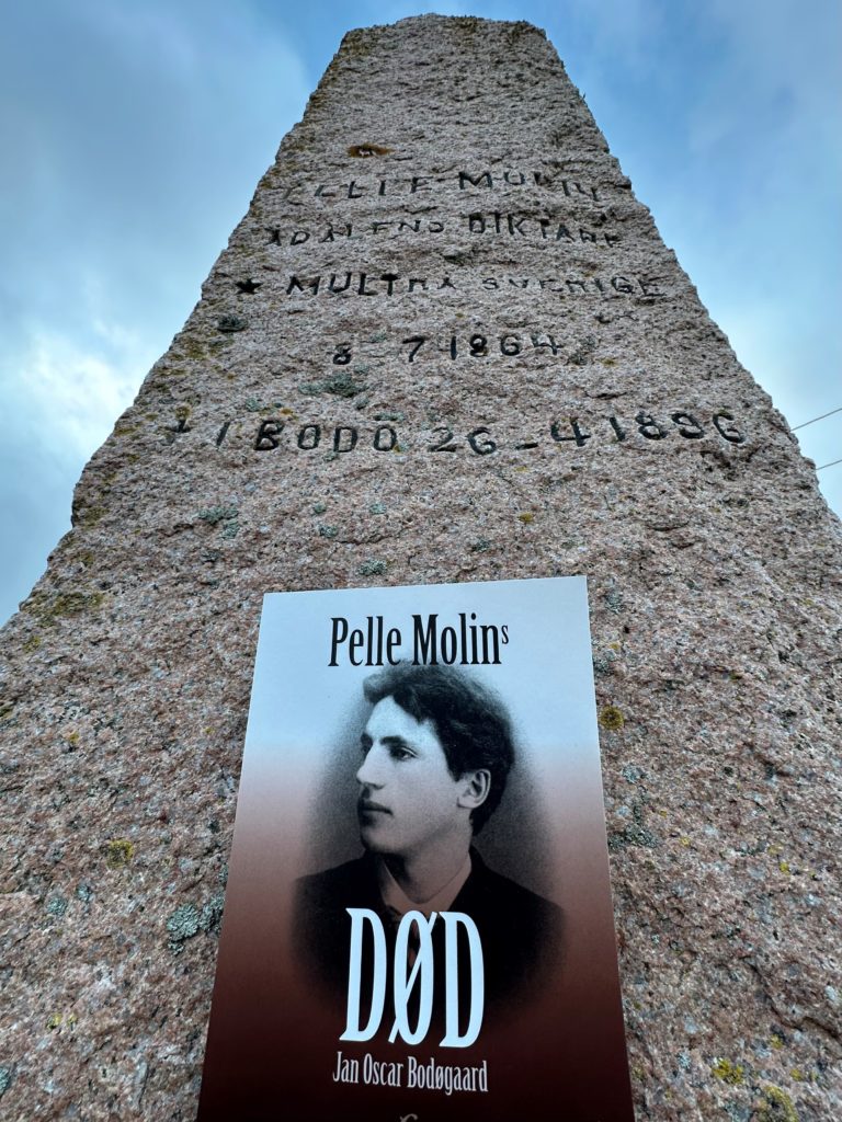 "Pelle Molins Død" av forfatter Jan Oscar Bodogaard, Forenkla Forlag. Foto: Roger Johansen / nordnorge.com